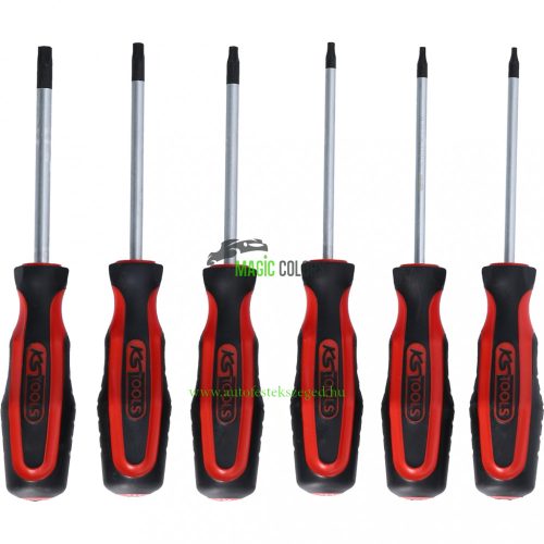  ERGOTORQUEplus Csavarhúzó készlet, 6 db-os, Torx