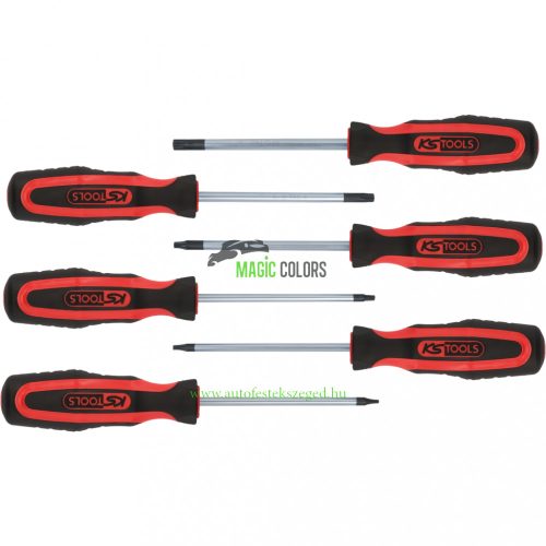  ERGOTORQUEplus Csavarhúzó készlet, 6 db-os, Torx